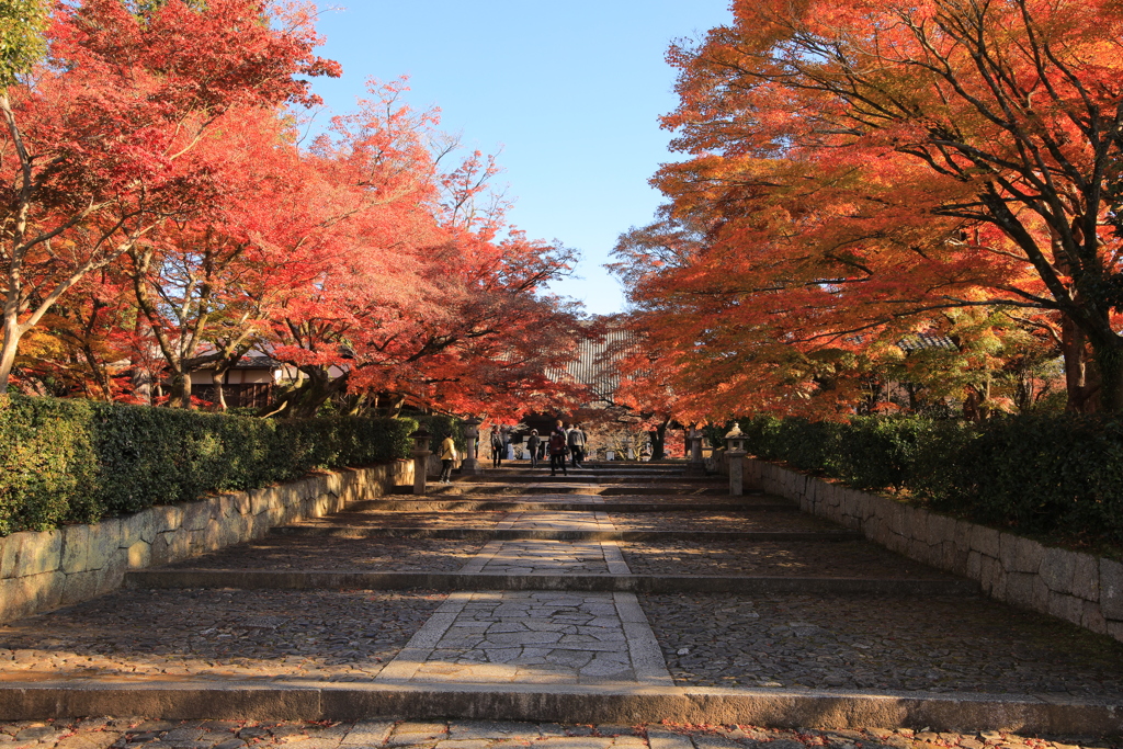 2021年京都　真如堂②
