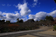 2020_1129_133325-IMG_7689