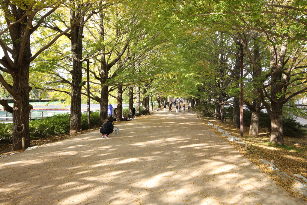 2021年昭和記念公園②