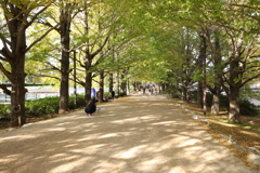 2021年昭和記念公園②