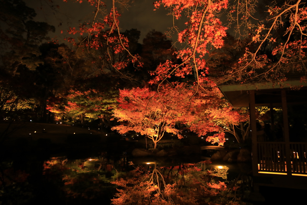 2022年大田黒夜⑬