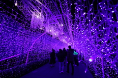 2020年最後のイルミネーション