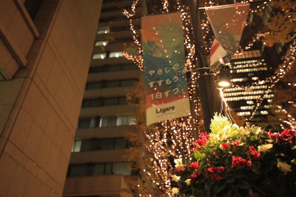 2020年東京駅イルミネーション