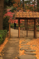 2021年大田黒公園⑦