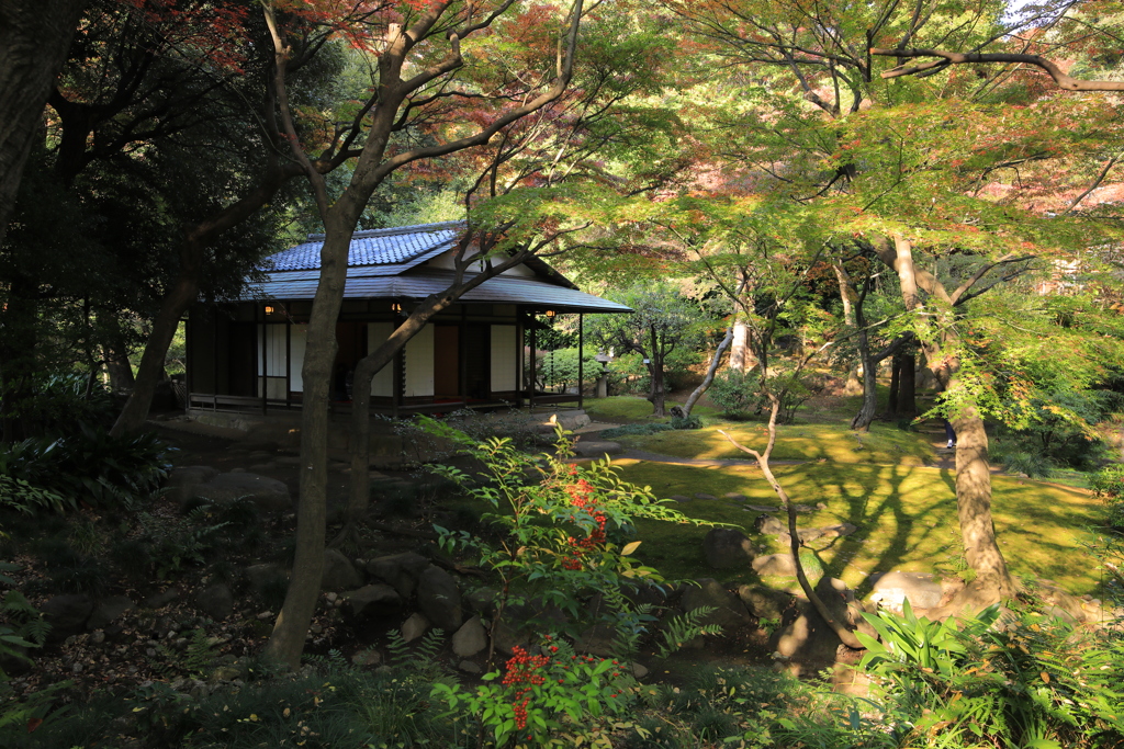 2021年旧古河庭園