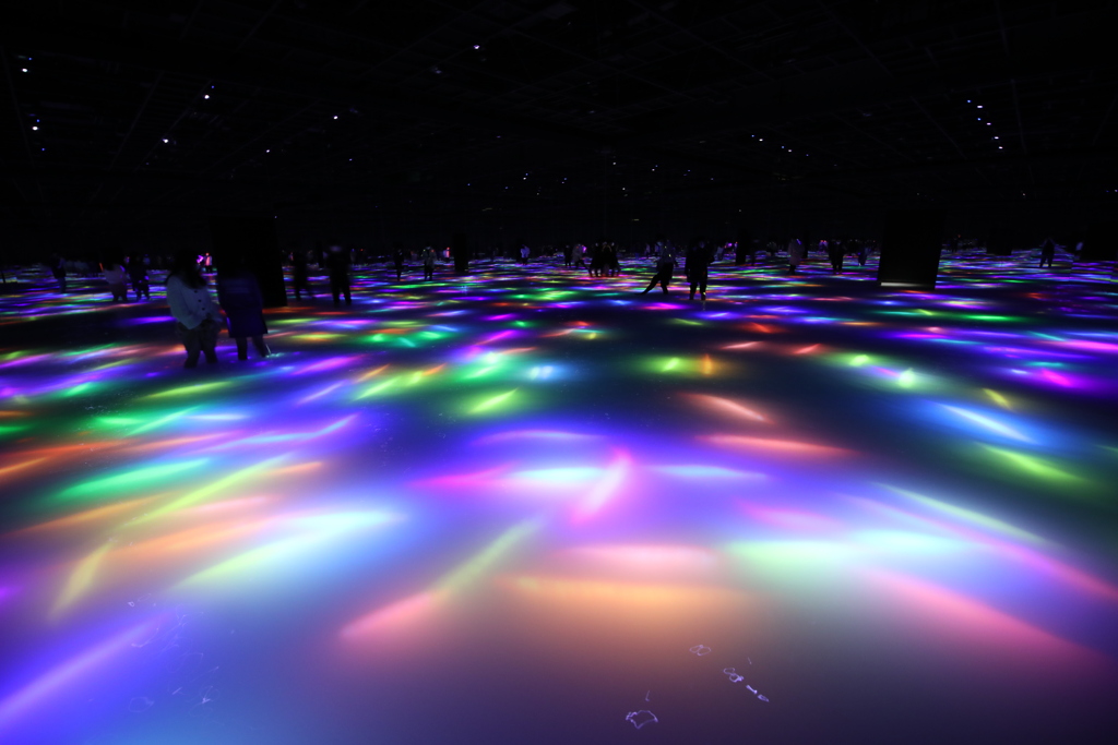 2020年チームラボ豊洲会場