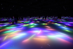 2020年チームラボ豊洲会場