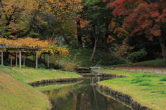 2022年小石川庭園⑥