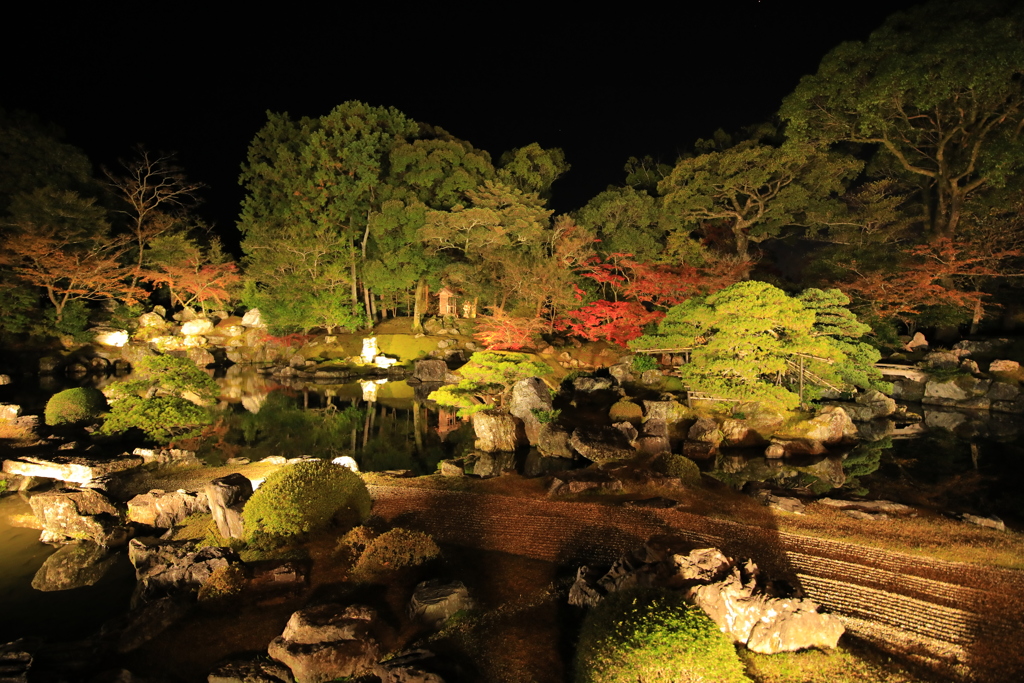 2021年京都　醍醐寺ライトアップ③