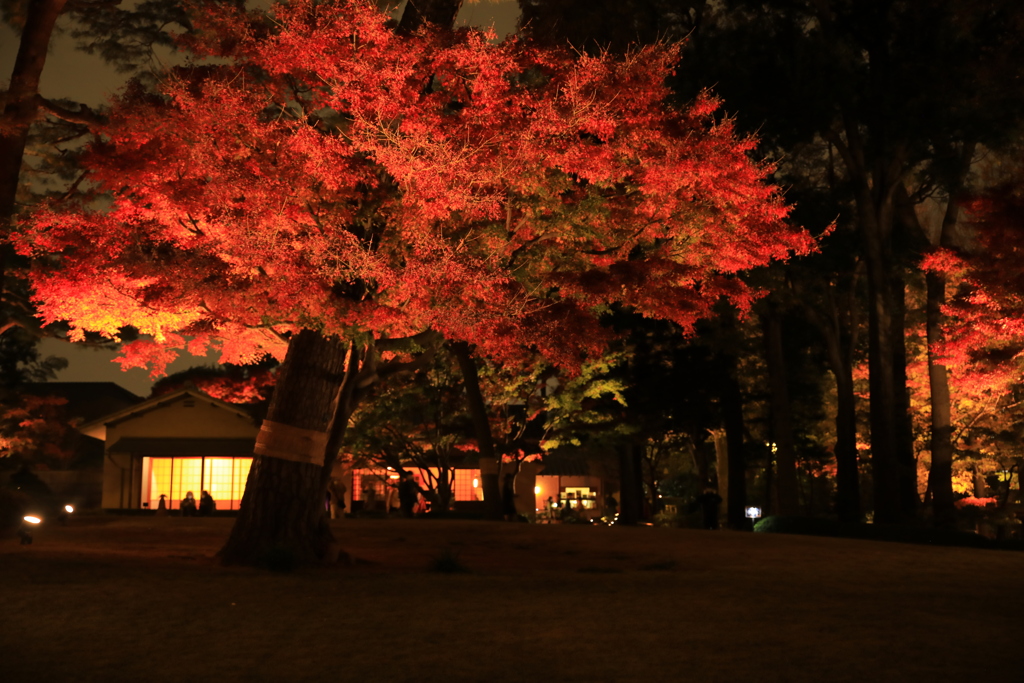 2022年大田黒夜⑥