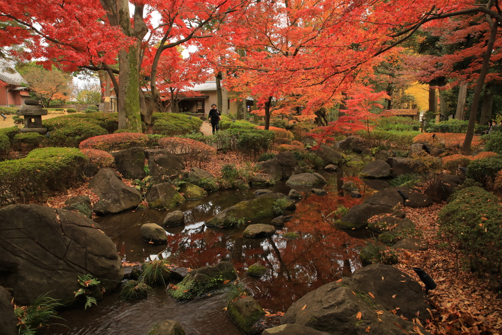 2021年大田黒公園③