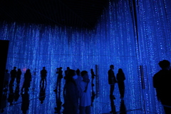 2020年チームラボお台場会場