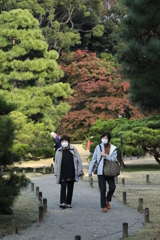 2021年六義園