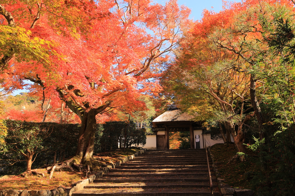 2021年京都　安楽寺②