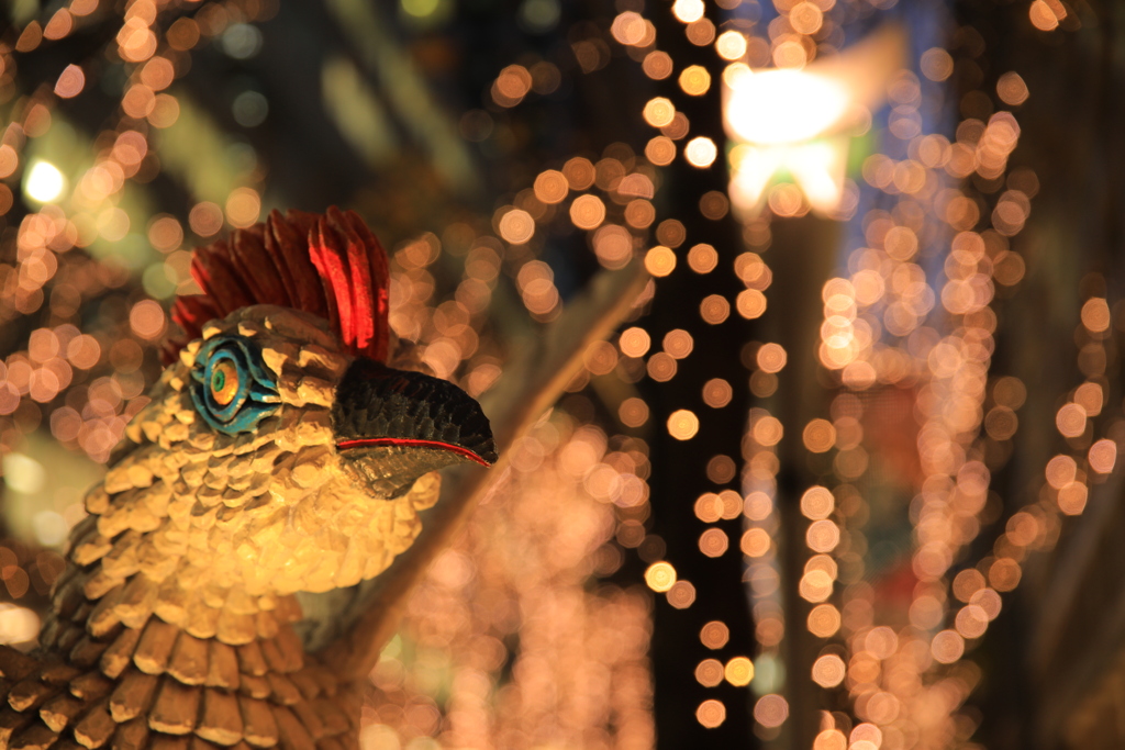 2021年最後の撮影②