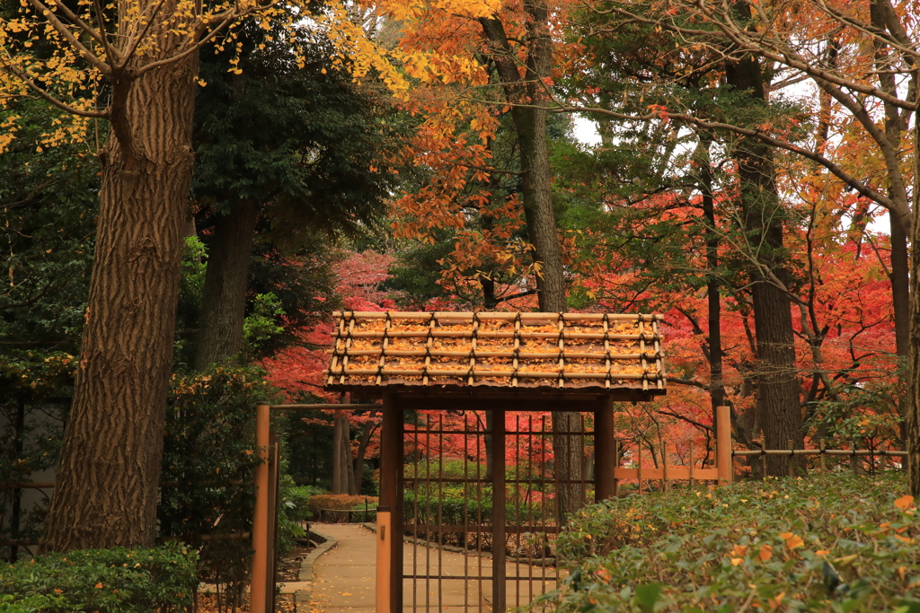 2021年大田黒公園②