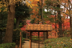 2021年大田黒公園②