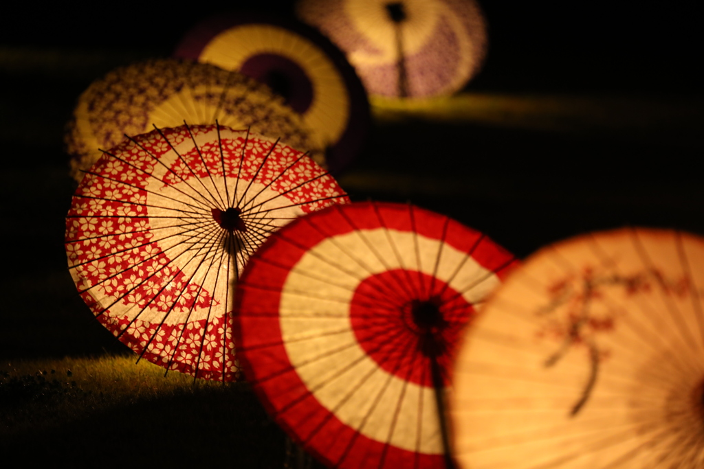 2020年昭和記念公園ライトアップ