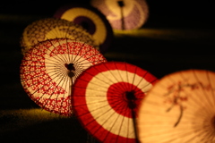 2020年昭和記念公園ライトアップ