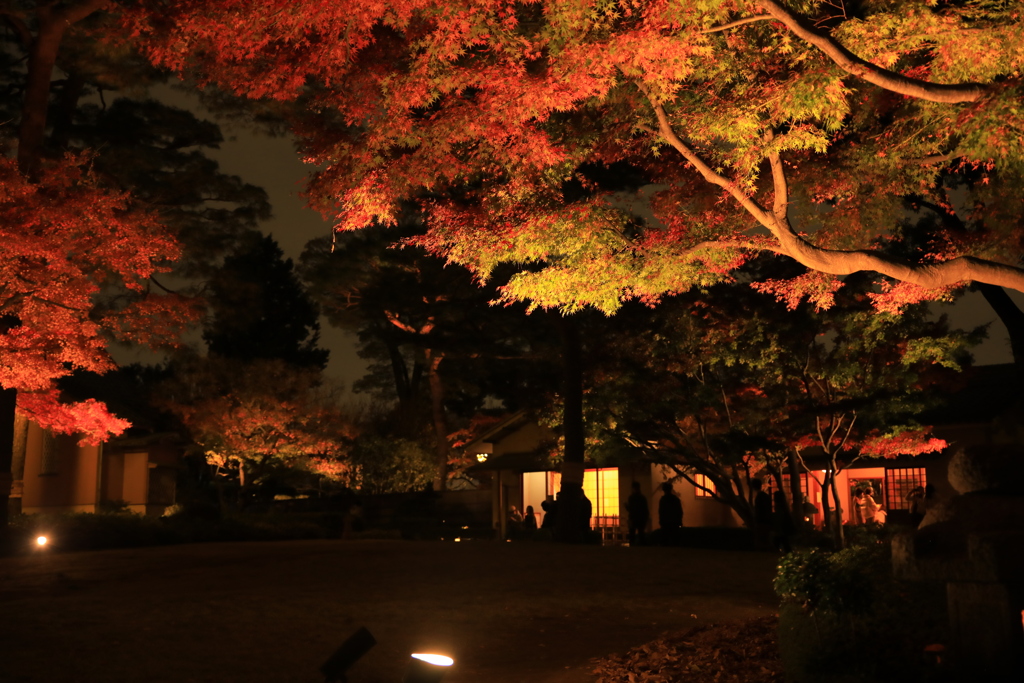 2022年大田黒夜⑮