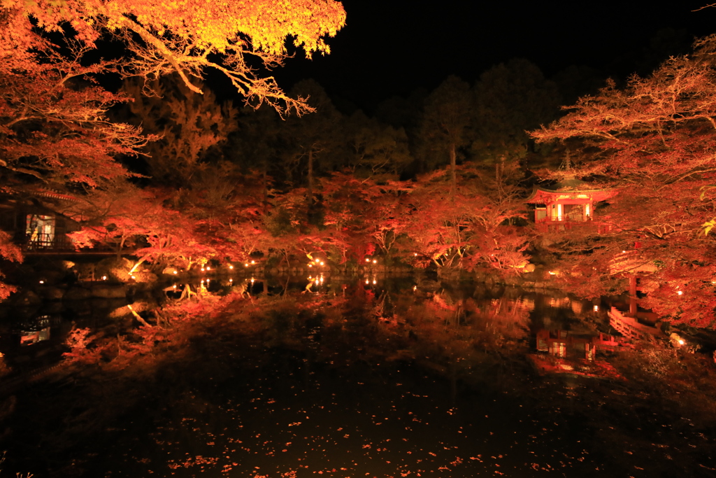 2021年京都　醍醐寺ライトアップ⑫