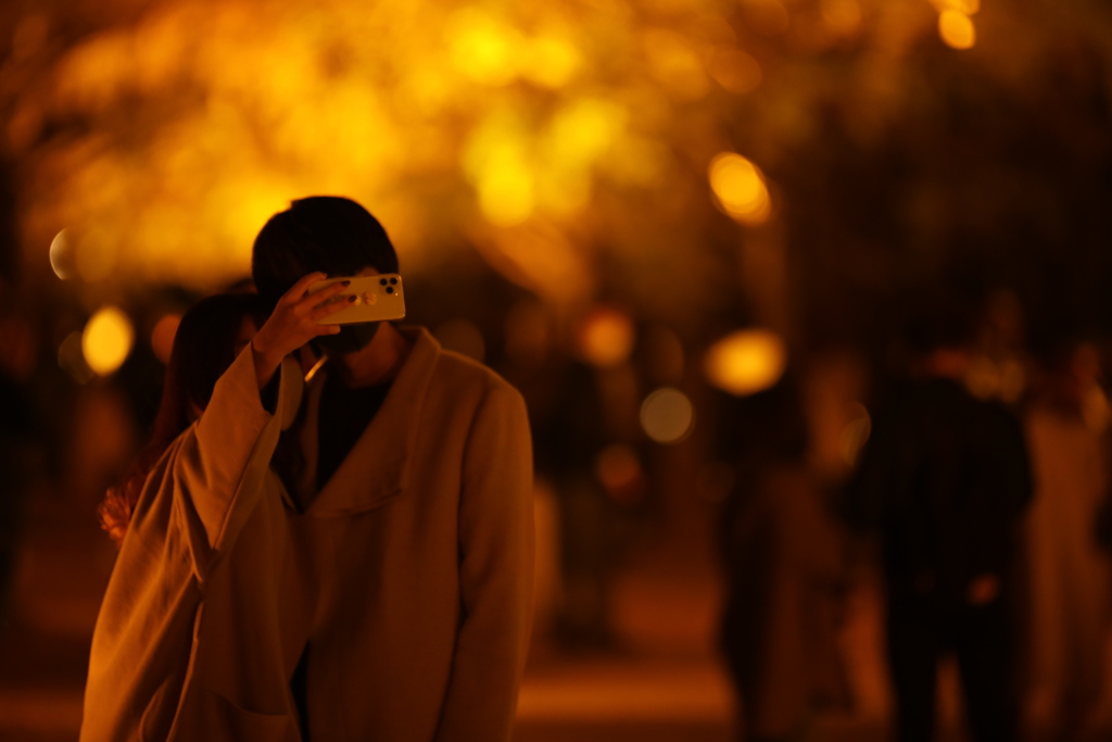 2020年昭和記念公園ライトアップ