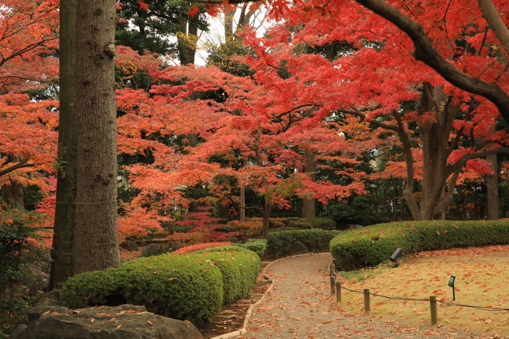 2021年大田黒公園④
