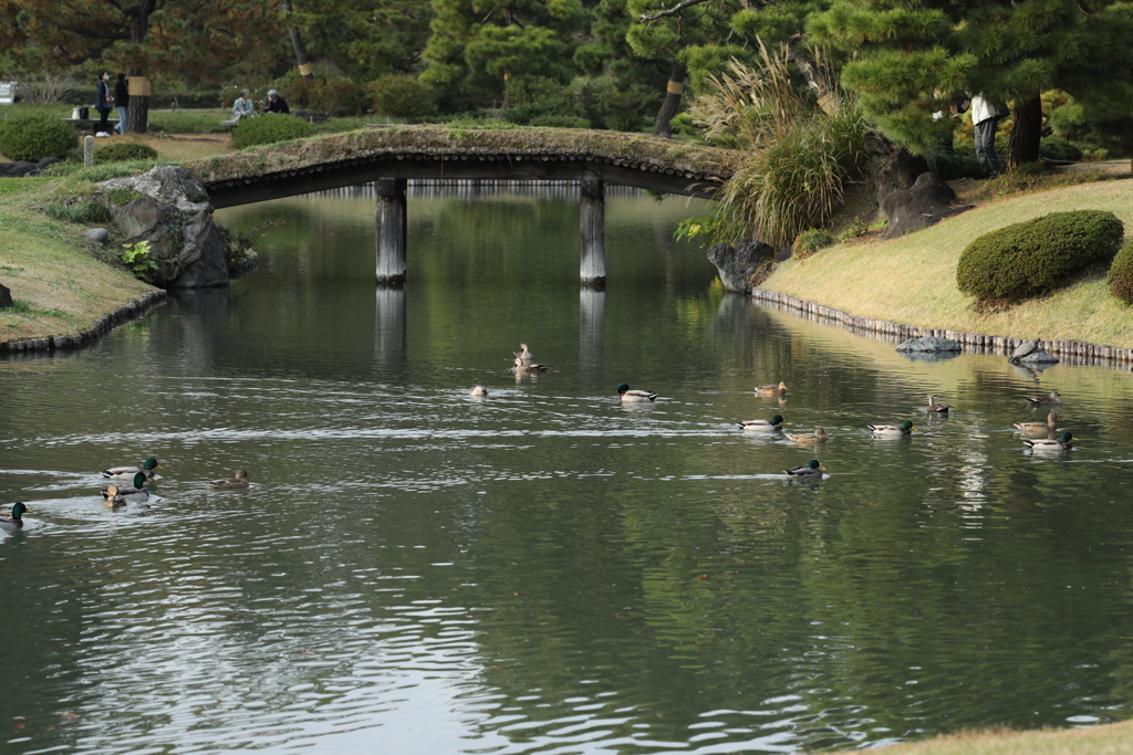2021年六義園