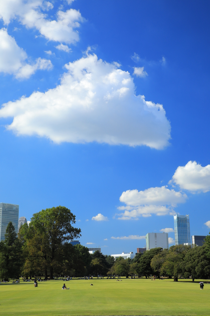 CPLフィルター②