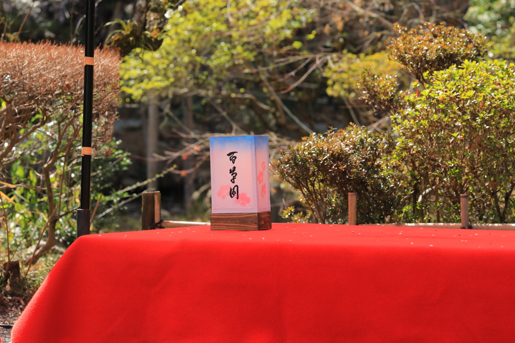 2022年京王百草園④