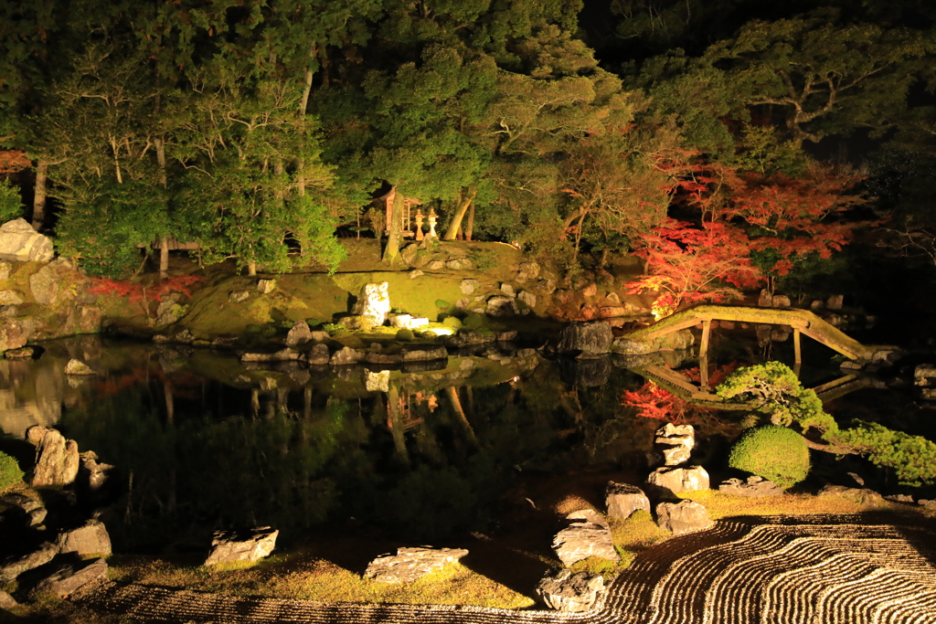 2021年京都　醍醐寺ライトアップ②