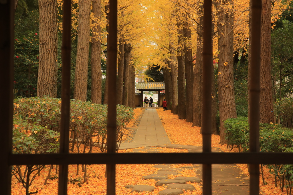 2021年大田黒公園⑧