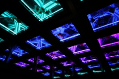 2020年アートアクアリウム