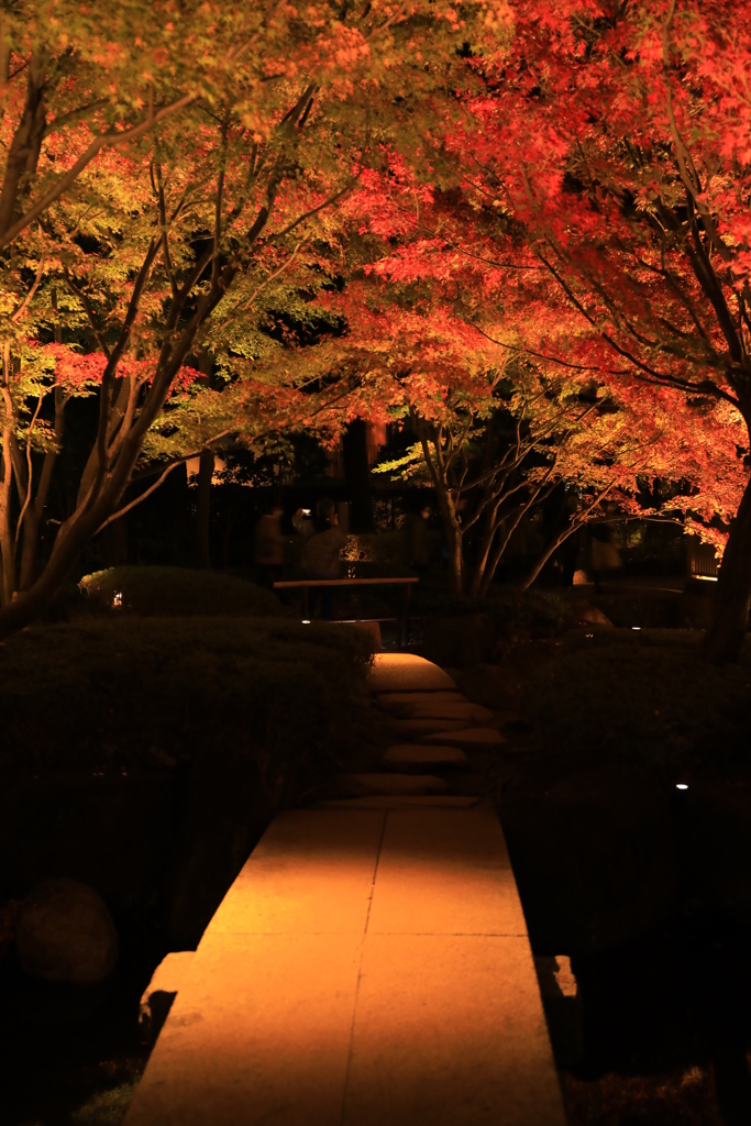 2022年大田黒夜⑧