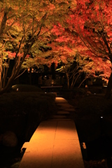 2022年大田黒夜⑧