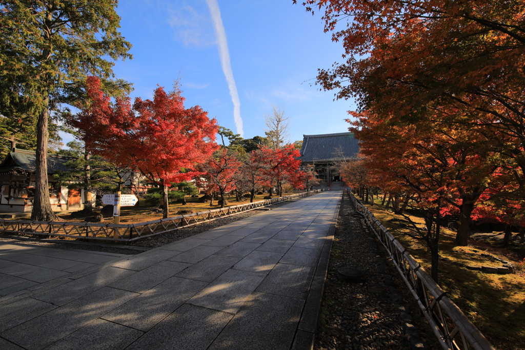 2021年京都　智積院①