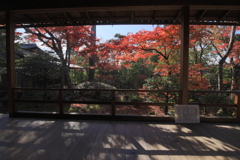 2020年京都旅行にて