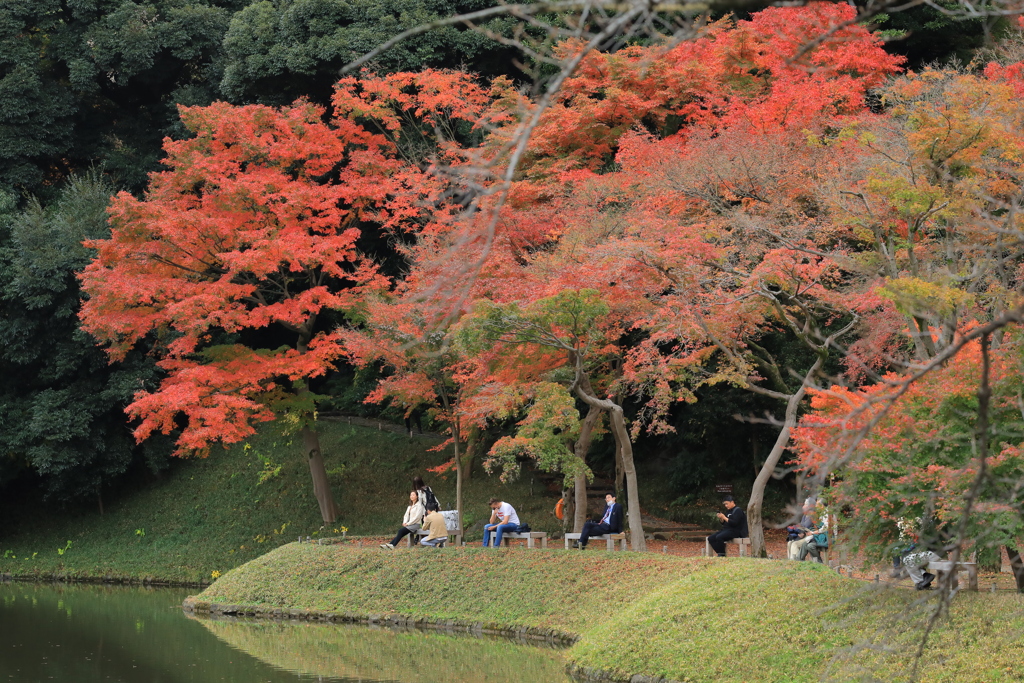 2022年小石川庭園①