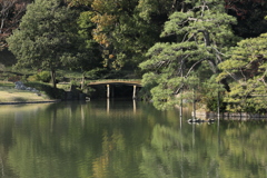 2021年六義園