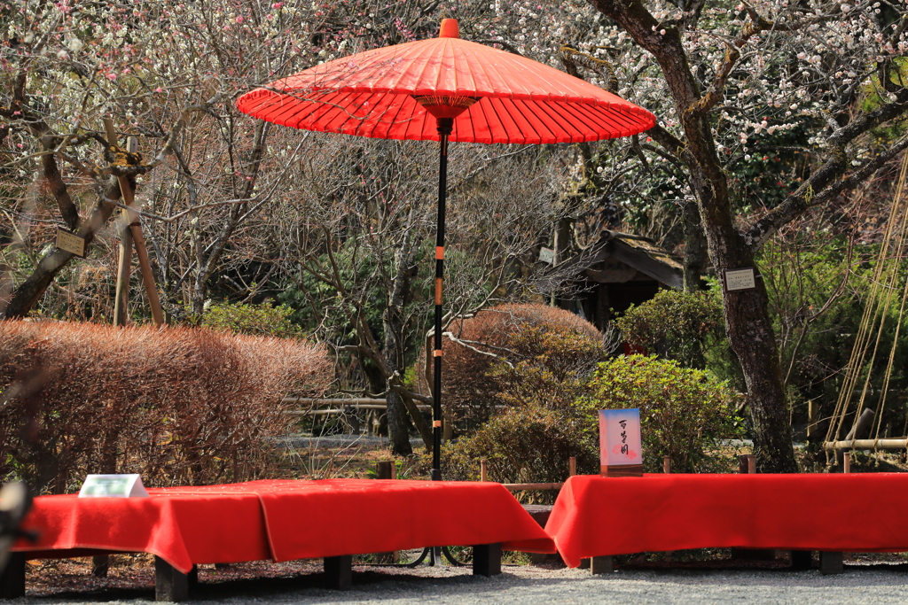 2022年京王百草園②