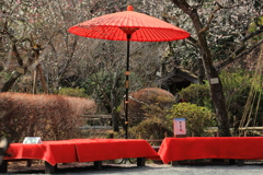 2022年京王百草園②