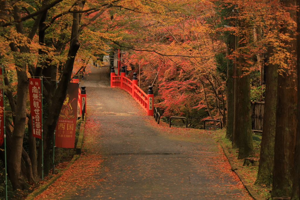 2021年京都　今熊野観音寺②
