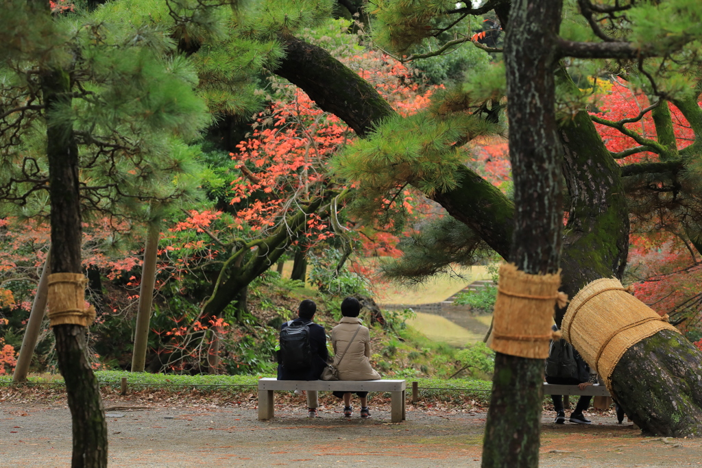 2022年小石川庭園⑤