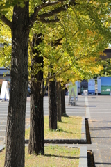 2021年昭和記念公園