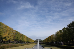 2021年昭和記念公園秋①