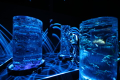 2020年アートアクアリウム