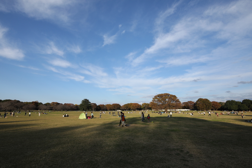 2021年昭和記念公園秋⑩