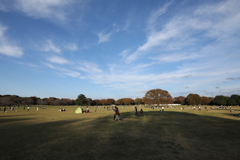 2021年昭和記念公園秋⑩