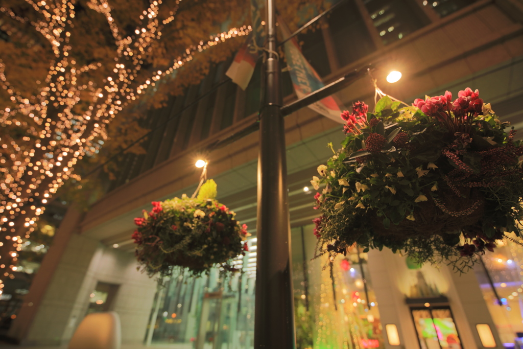 2020年東京駅イルミネーション