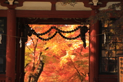 2021年　本土寺紅葉①